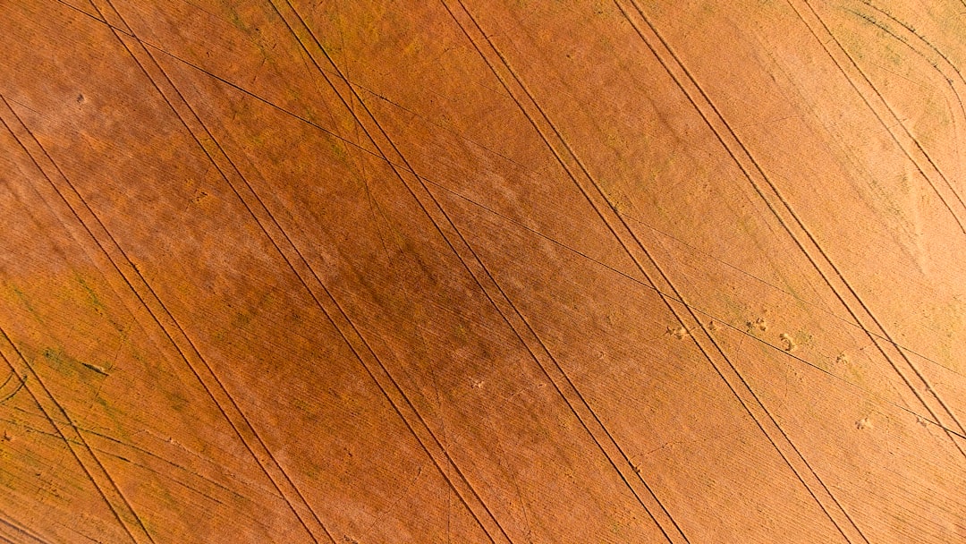 Dv188 Slot Gacor Hari Ini: Rahasia Menang dan Tips Efektif