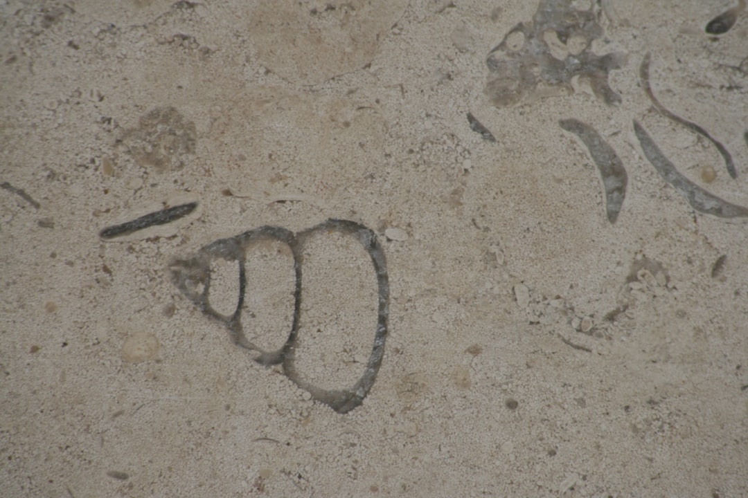 Pentingnya Memahami Togel DV188 dalam Dunia Perjudian